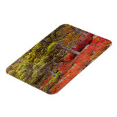 Acadia National Park, Maine Magnet (Linke Seite)
