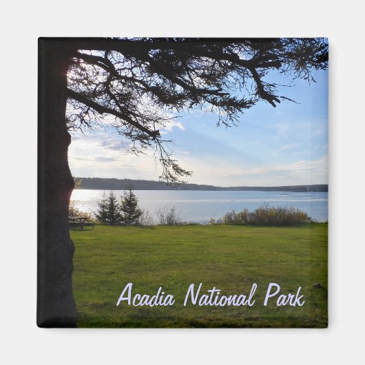 Acadia National Park, Maine Magnet (Vorne)