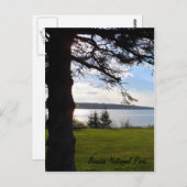 Acadia National Park, Maine Postkarte (Vorne/Hinten)