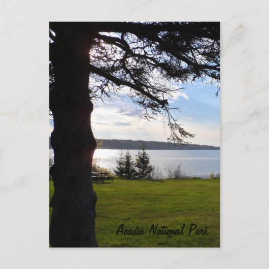 Acadia National Park, Maine Postkarte (Vorderseite)