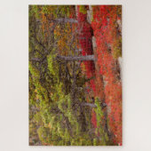 Acadia National Park, Maine Puzzle (Vertikal)