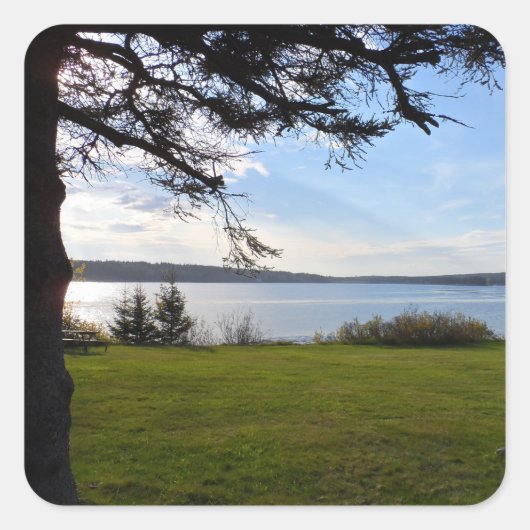 Acadia National Park, Maine Quadratischer Aufkleber (Vorderseite)