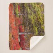 Acadia National Park, Maine Sherpadecke (Vorderseite)