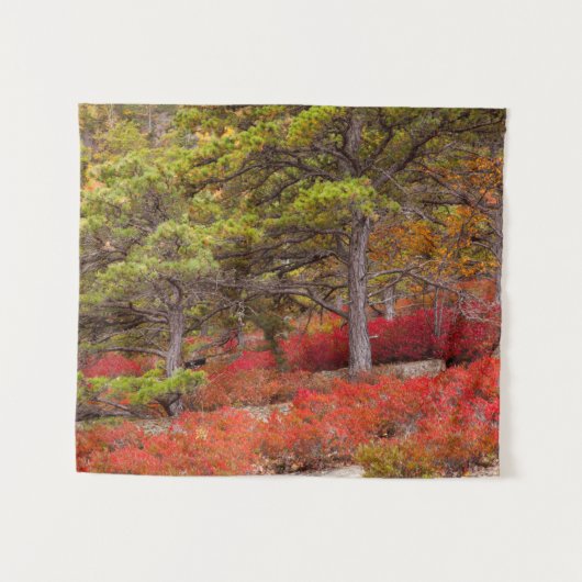 Acadia National Park, Maine Wandteppich (Vorderseite (Horizontal))