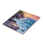 Acadia National Park | Otter Cliffs Maine Reise Fliese (Seite)