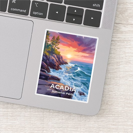 Acadia National Park | Otter Cliffs Maine Travel Aufkleber (Detail)