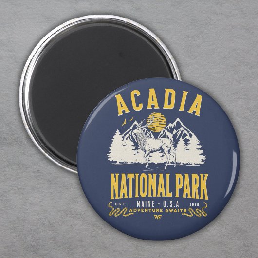 Acadia National Park Vintage Landscape Magnet