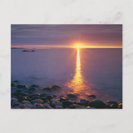 Acadia Nationalpark |Atlantisches Meer - Maine Postkarte (Vorderseite)