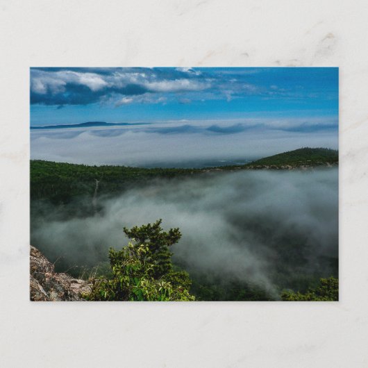 Acadia Nationalpark im Sommer, Maine Postkarte (Vorderseite)