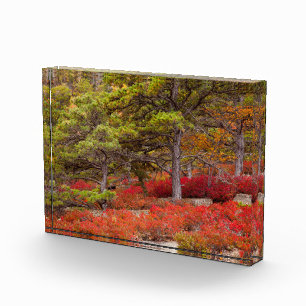 Acadia-Nationalpark, Maine Fotoblock
