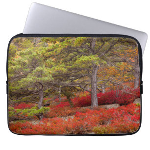 Acadia-Nationalpark, Maine Laptopschutzhülle