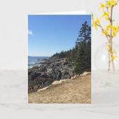 Acadia-Nationalpark, Maine Notecard Karte (Gelbe Blume)