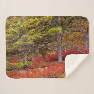 Acadia-Nationalpark, Maine Sherpadecke
