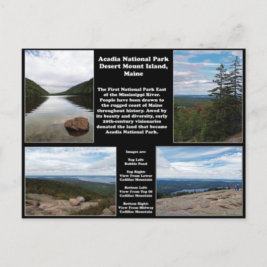 Acadia Nationalpark Postkarte (Vorderseite)
