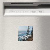 Acadia Shore Magnet - 1 (In Situ (Geschirrspüler))