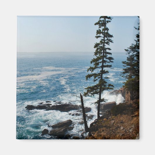 Acadia Shore Magnet - 1 (Vorne)