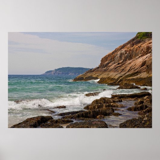 Acadia Shore Poster (Vorne)