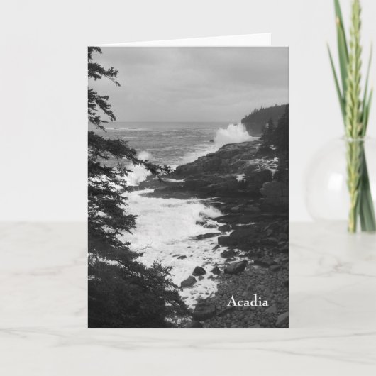 Acadia Surf Notecard - 8 Karte (Vorderseite)