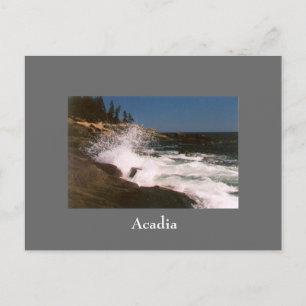 Acadia Surf Postkarte - 1