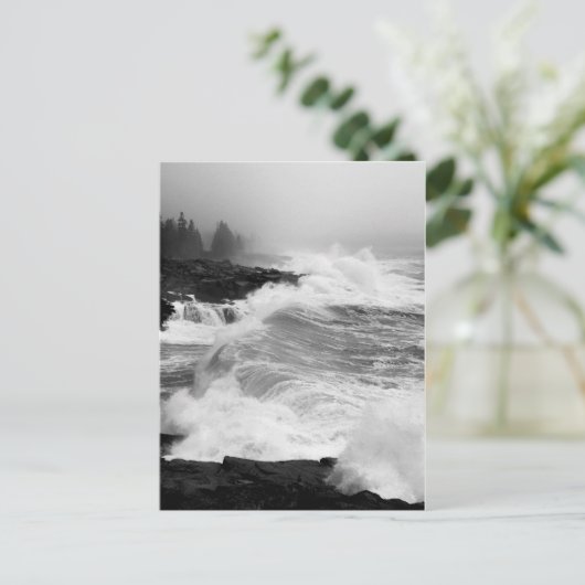 Acadia Surf Postkarte - 3 (Stehend Vorderseite)