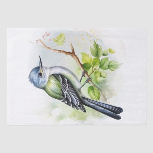 Acadian Flycatcher Bird Seidenpapier (Vorderseite)
