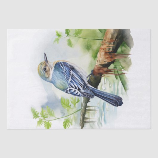 Acadian Flycatcher Bird Seidenpapier (Vorderseite)
