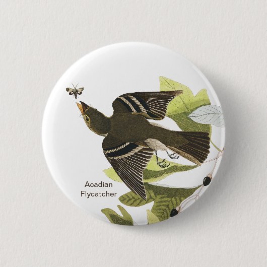 Acadian Flycatcher, John James Audubon Birdwatcher Button (Vorderseite)
