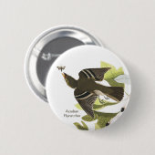 Acadian Flycatcher, John James Audubon Birdwatcher Button (Vorne & Hinten)