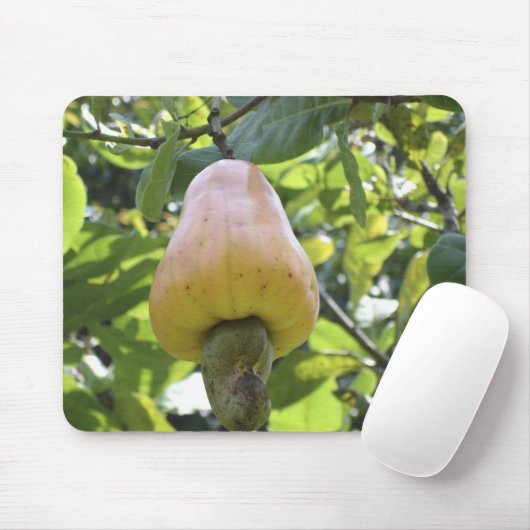 Acajoubaum Mousepad (Mit Mouse)
