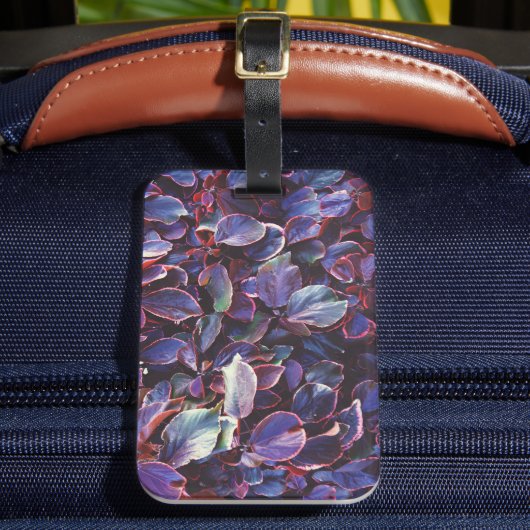 Acalypha Wilkesiana Gepäckanhänger (Vorderseite Insitu 2)