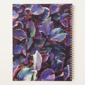 Acalypha Wilkesiana Planer (Rückseite)