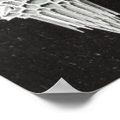 Acanthophracta, Wunderstrahlinge Aquatic Animal Poster (Ecke)