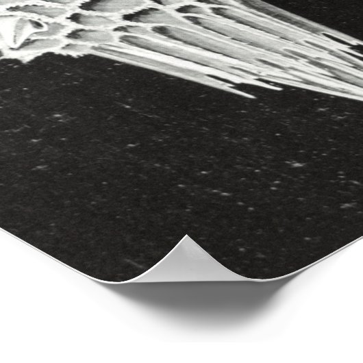 Acanthophracta, Wunderstrahlinge Aquatic Animal Poster (Ecke)