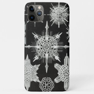 Acanthophracta, Wunderstrahlinge Wasser-Tier Case-Mate iPhone Hülle