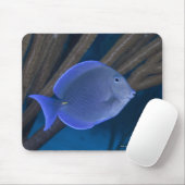 Acanthurus coeruleus mousepad (Mit Mouse)