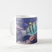 Acanthurus triostegus kaffeetasse (Vorderseite Links)