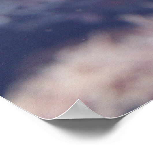 Acanthurus triostegus poster (Ecke)