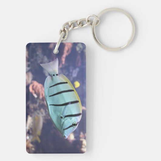 Acanthurus triostegus schlüsselanhänger (Rückseite)