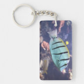 Acanthurus triostegus schlüsselanhänger (Vorderseite)
