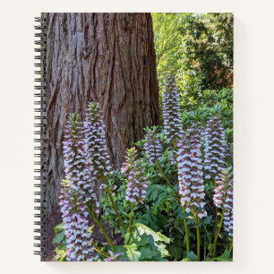 Acanthus/Bärenklaue Blumen Notizbuch