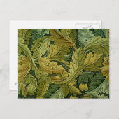 Acanthus Postkarte (Vorne/Hinten)