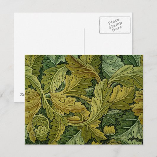 Acanthus Postkarte (Vorne/Hinten)