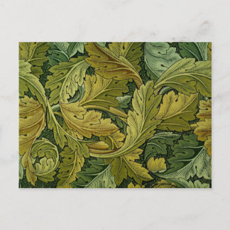 Acanthus Postkarte