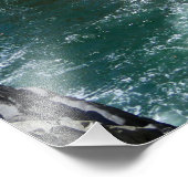 Acapulco Cliff Diver Fotodruck (Ecke)