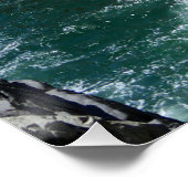 Acapulco Cliff Diver Poster (Ecke)