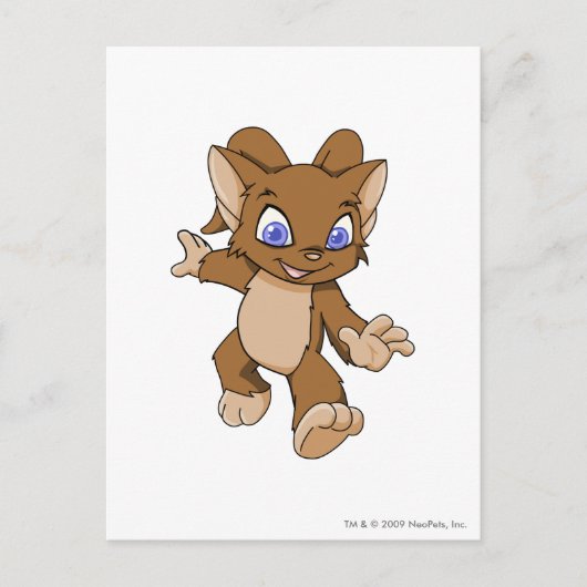 Acara Brown Postkarte (Vorderseite)