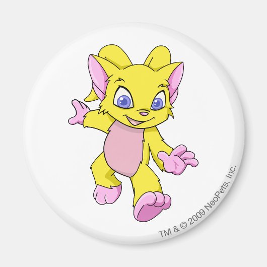 Acara Yellow Magnet (Vorne)