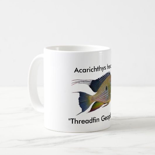 Acarichthys heckelii kaffeetasse (Vorderseite Links)