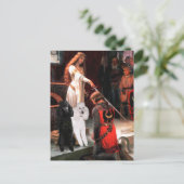 Accolade - Pudel (TWO Standard) Postkarte (Stehend Vorderseite)