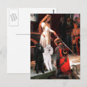 Accolade - Pudel (TWO Standard) Postkarte (Vorne/Hinten)